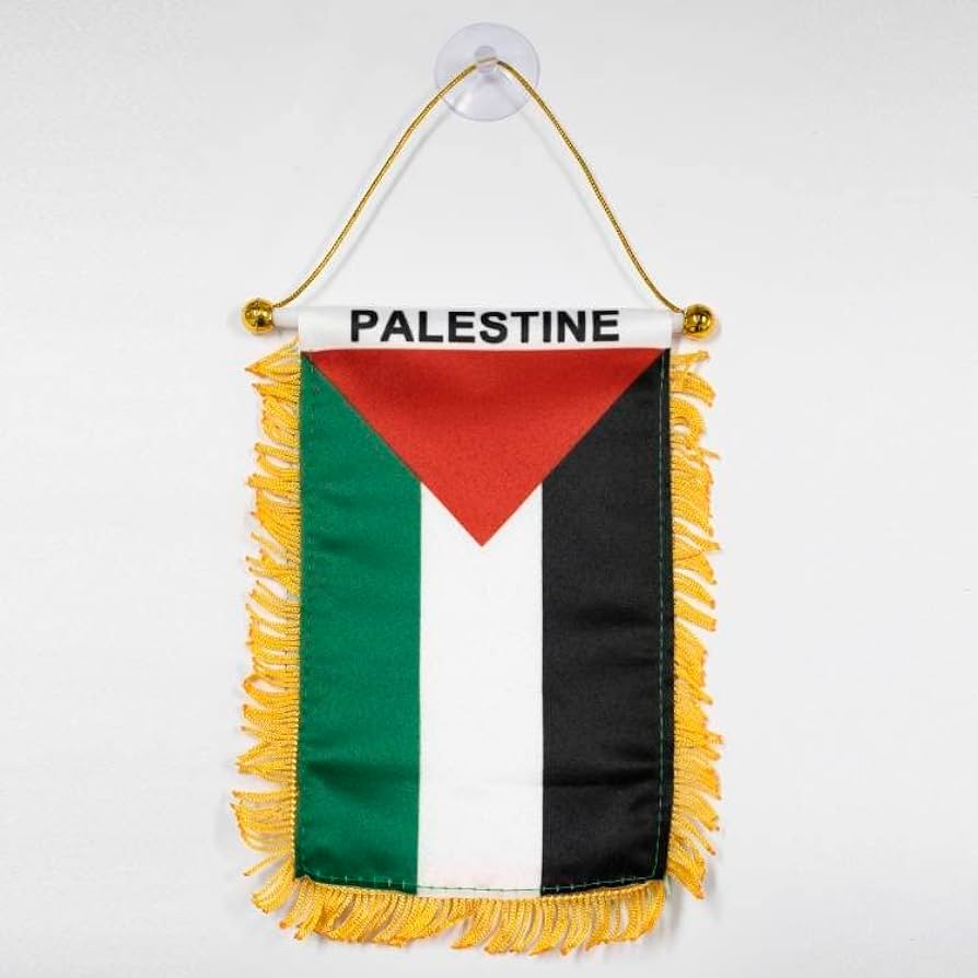 4 x 6 Inches (10 x 15 cm) Car Rearview Mirror Flag | Project Palestine