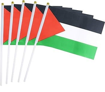 5 Pieces / 6 x 8 Inches (14 x 21 cm) Hand Held Flags | Project Palestine