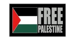 Free Palestine / 10 Pieces Palestine Pins (10 Pieces) (Multiple Designs Available) | Project Palestine